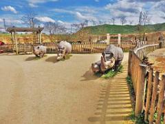 149 BIO PARC DE DOUE LA FONTAINE 7- 2016_000033